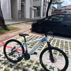 24速山地车，速度超级快，品质很好，提供免费配送