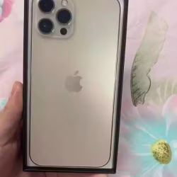 12pro max