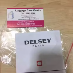 New Delsey Backpack 背包