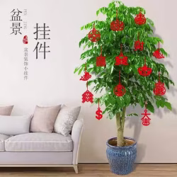 全新.新年植物盆栽装饰挂件.家用商用.大植物小植物都可用