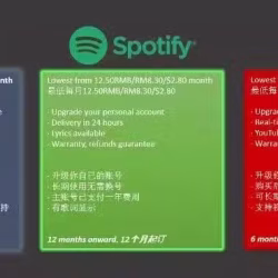 Netflix 奈飞 / Youtube Premium 油管/ Spotify