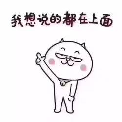 苹果12 POR MAX