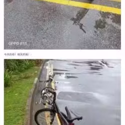 自行车