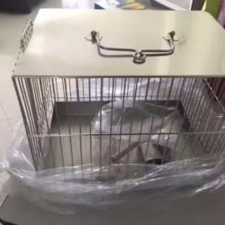 白钢鸟笼