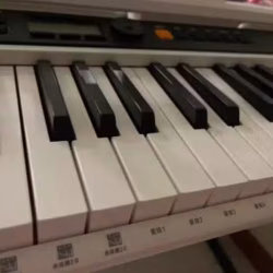 卡西欧Casio电子琴61键