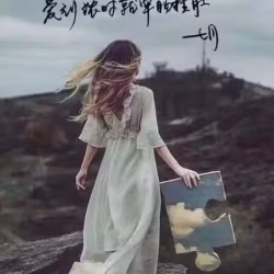 苹果8P