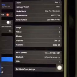 ipad pro 10.5 寸 256 GB