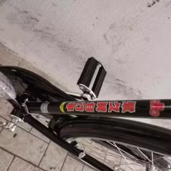 便宜转让全新自行车$100起