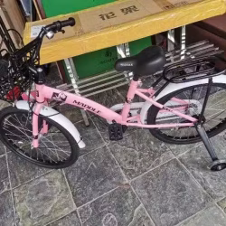 便宜转让全新自行车$100起
