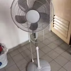 闲置电风扇出售 义顺自取