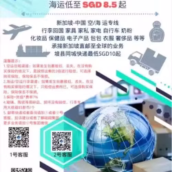  新加坡-中国，空/海运 专线物流，一流的服务，顺利的邮寄，舒心的接收