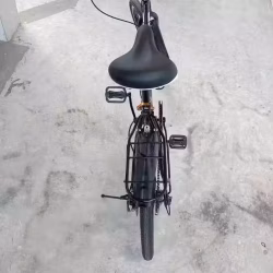 21寸变速自行车