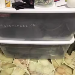 大收纳箱