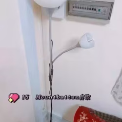 IKEA立式 灯具