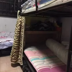 上下铺铁床