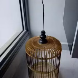 鸟笼