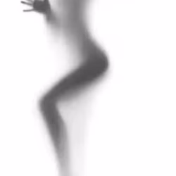 动物园  门票便宜
