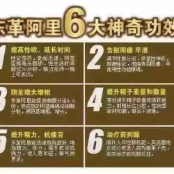 东革阿里切片