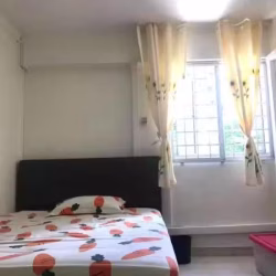 宏茂桥523中心普通房 $600 无空调 租1 女生包网络水电93669088 