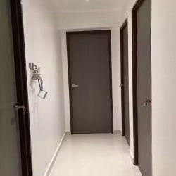 实心木门