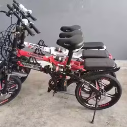 全新 20寸凤凰折叠式自行车 包送货 送车锁!!!
