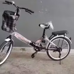 全新 20寸女士折叠式自行车 包送货 送车锁!!!