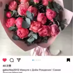 签线手机