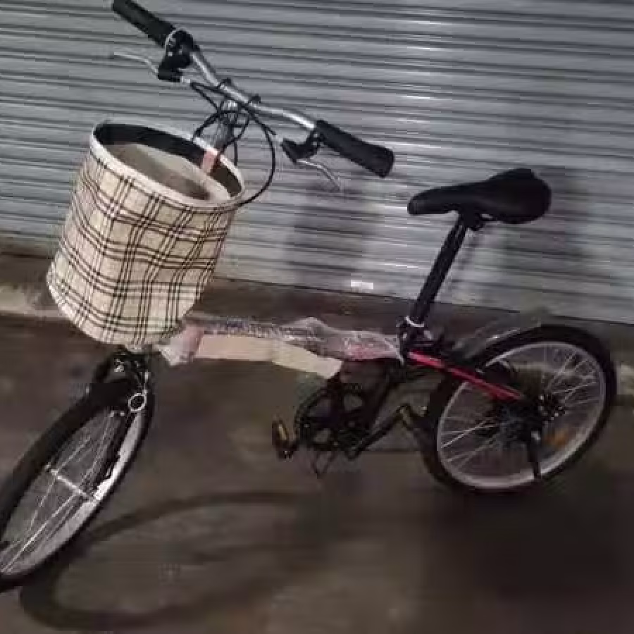 全新 20寸折叠式自行车 报送货 送车锁!!! 图片 2