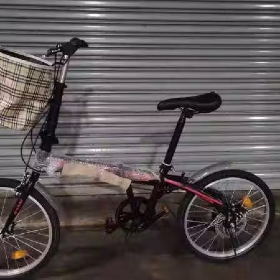 全新 20寸折叠式自行车 报送货 送车锁!!! 图片 3