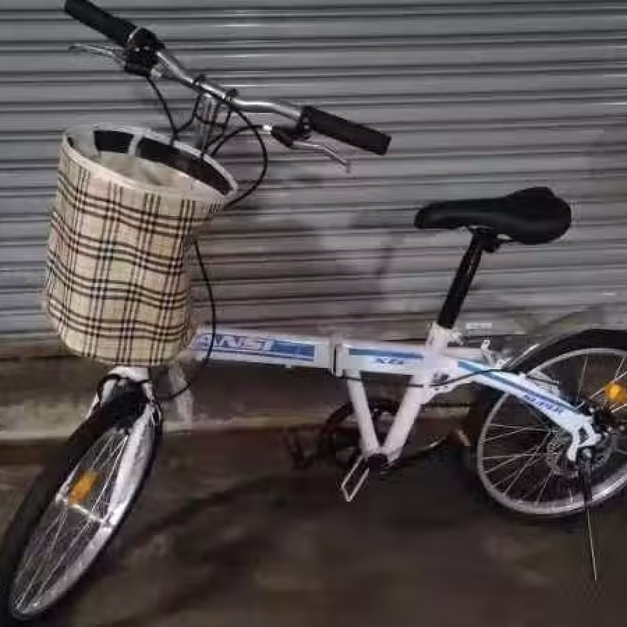 全新 20寸折叠式自行车 报送货 送车锁!!! 图片 4
