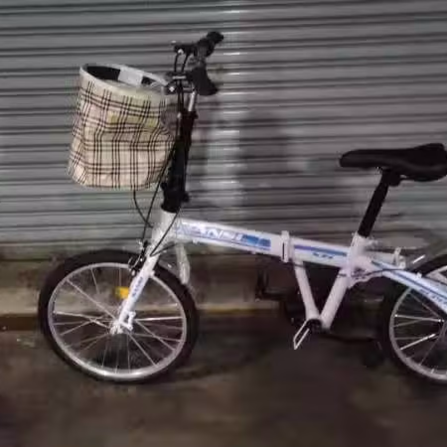 全新 20寸折叠式自行车 报送货 送车锁!!! 图片 5