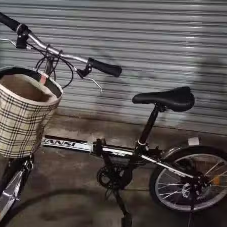 全新 20寸折叠式自行车 报送货 送车锁!!! 图片 6