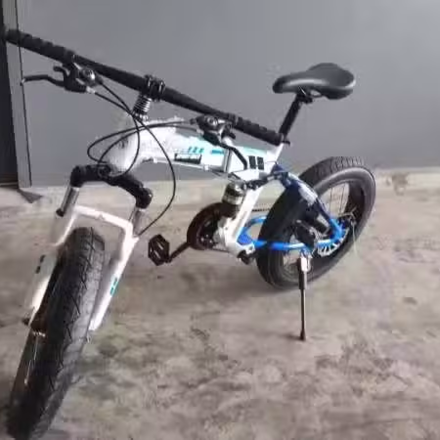 全新 20寸双减震折叠式胖车 包送货 送车锁!!! 图片 2