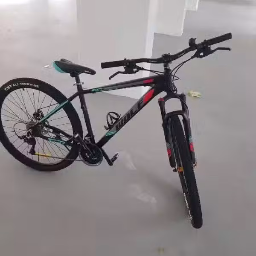脚车 图片 1