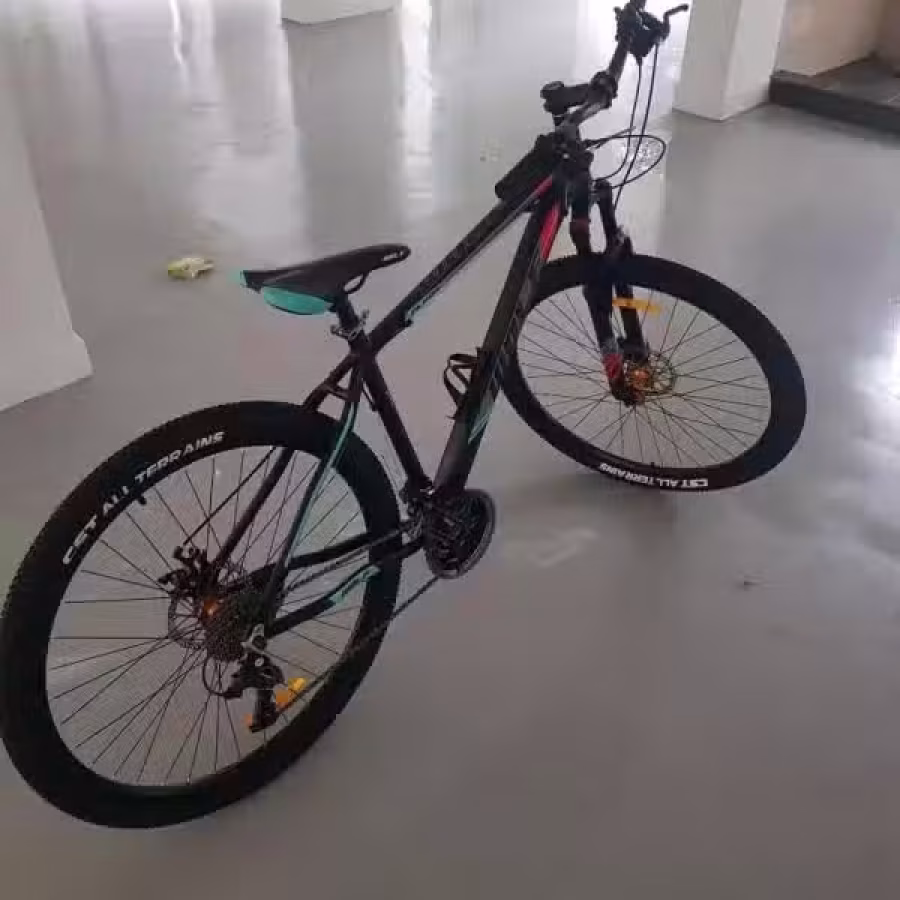 脚车 图片 2