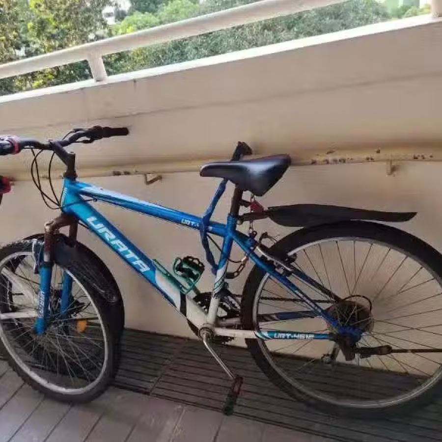 自行车 图片 1