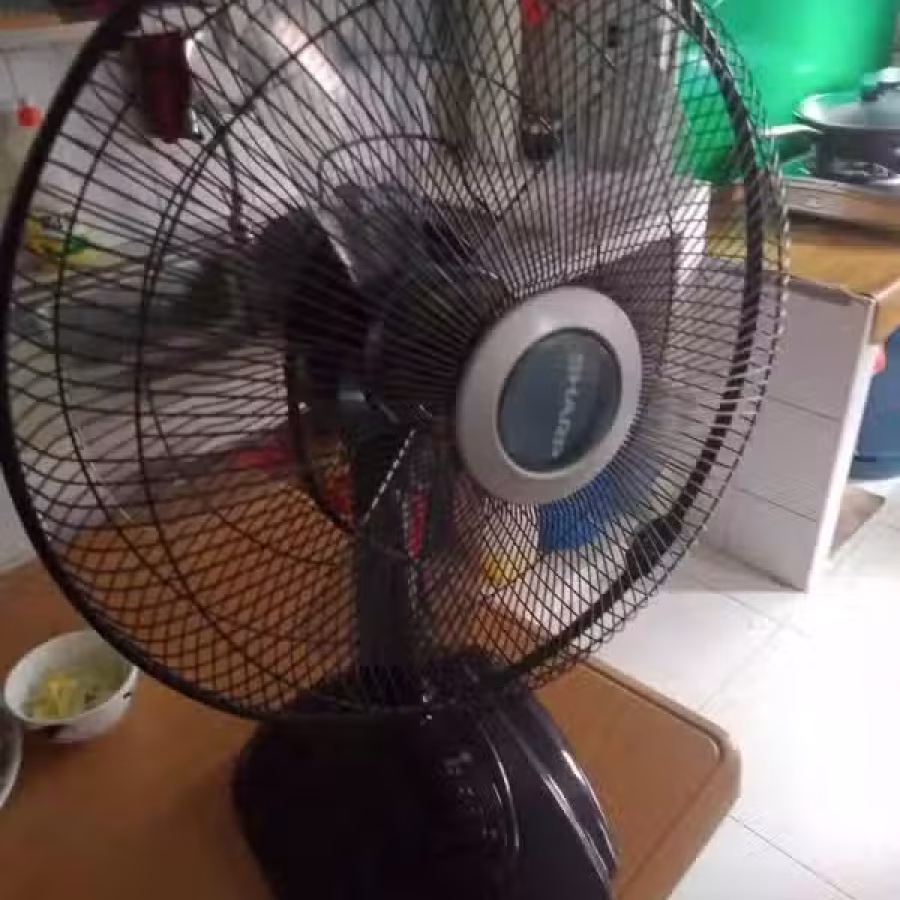  风扇 图片 1