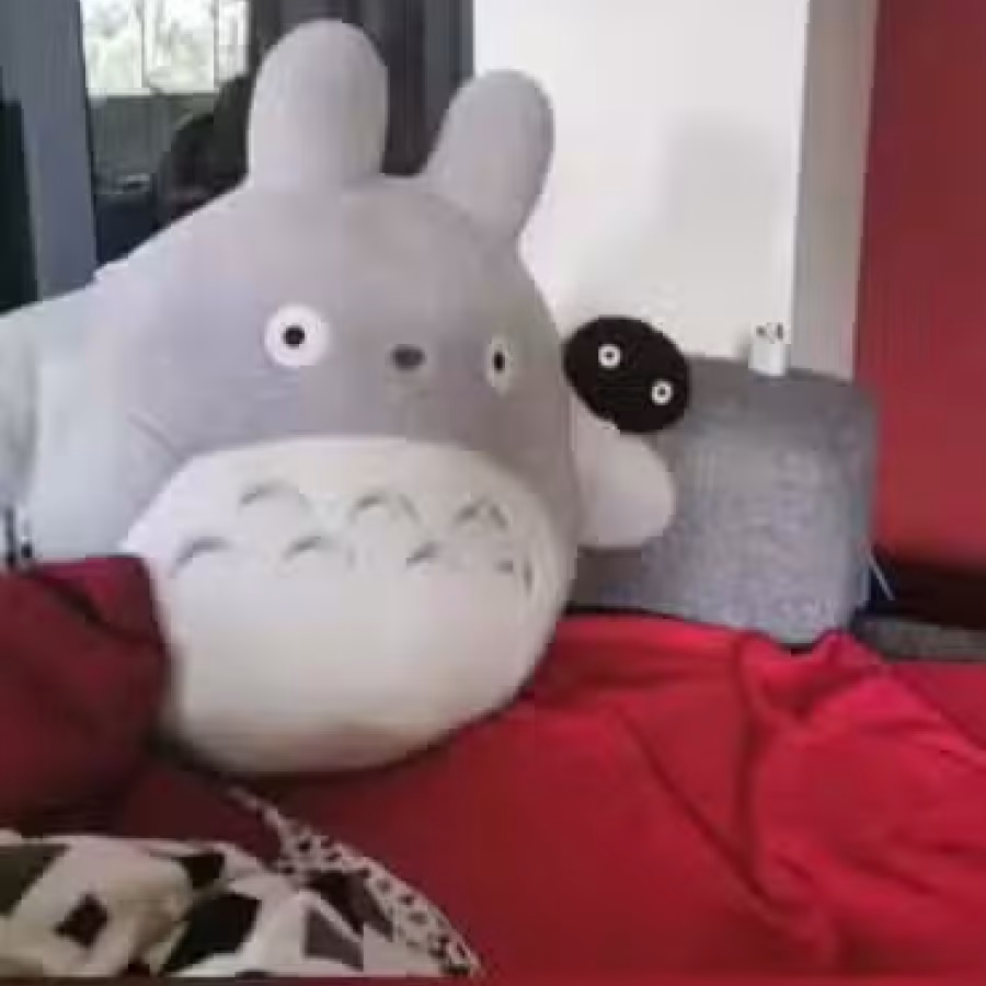 毛绒玩具 图片 1