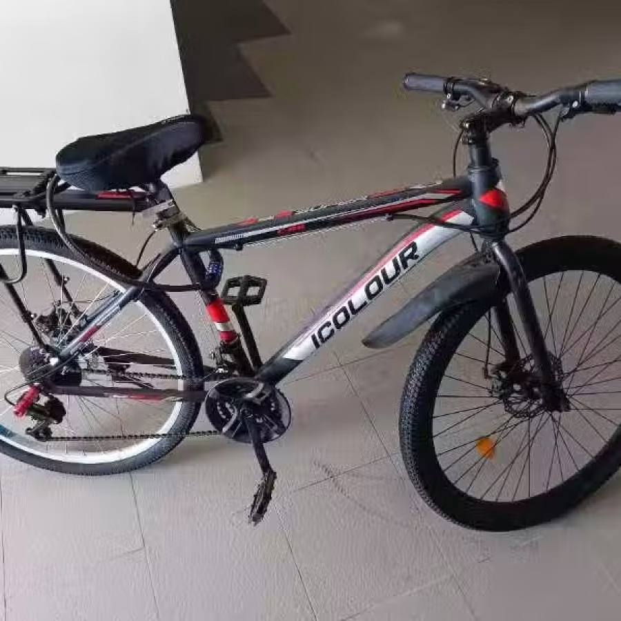 脚踏车 图片 1