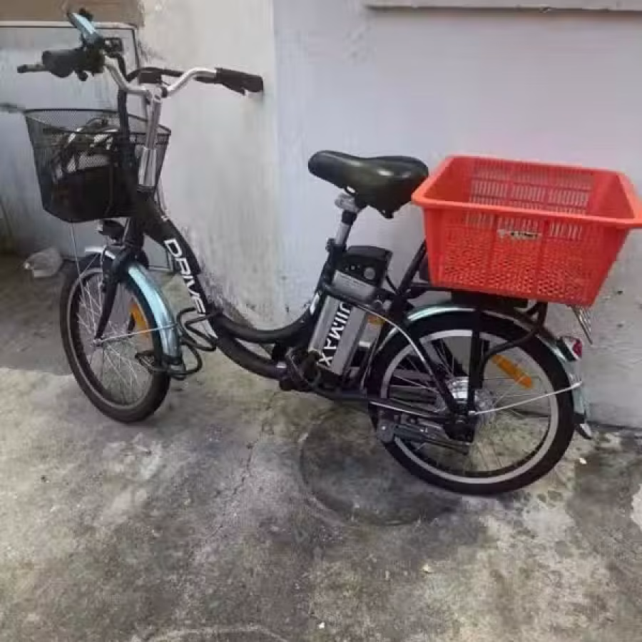回国处理电动车 图片 1