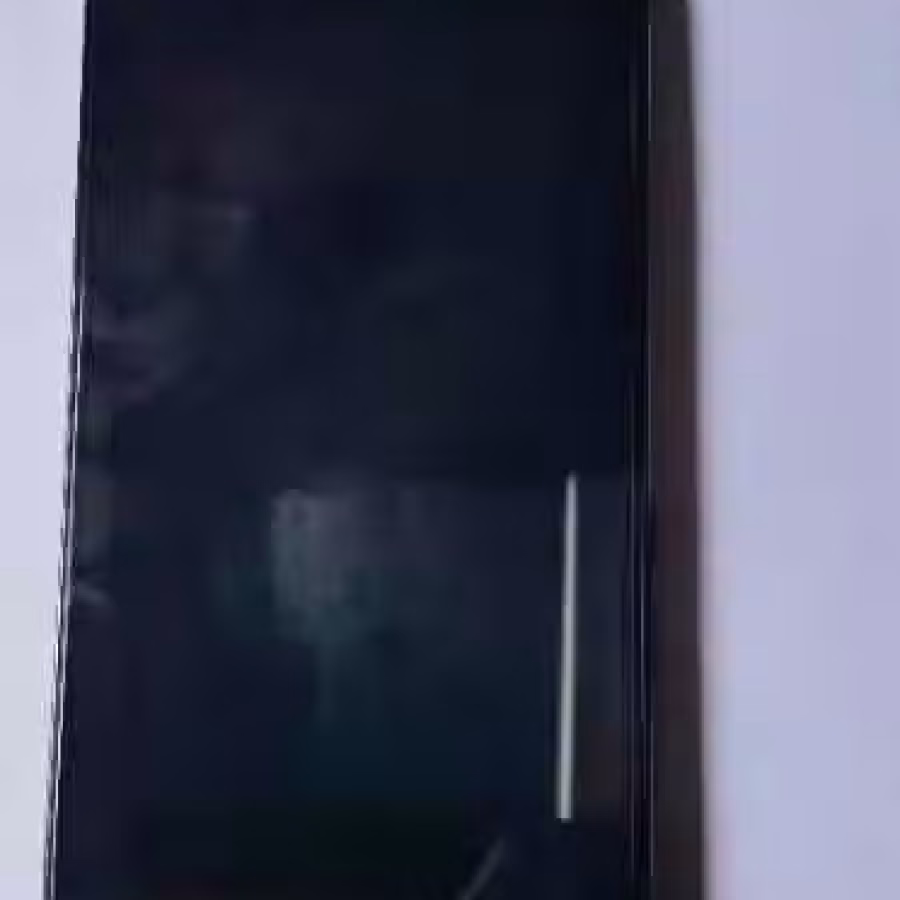 苹果12pro Max 图片 2