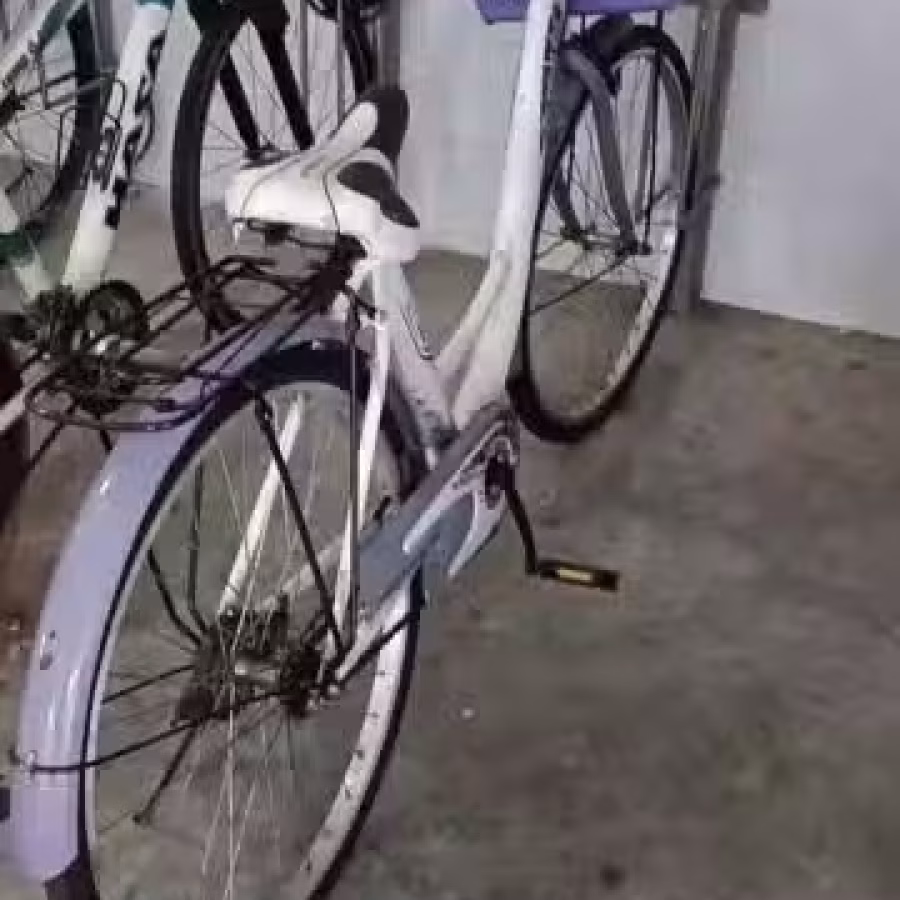 闲置2辆自行车出售 图片 1