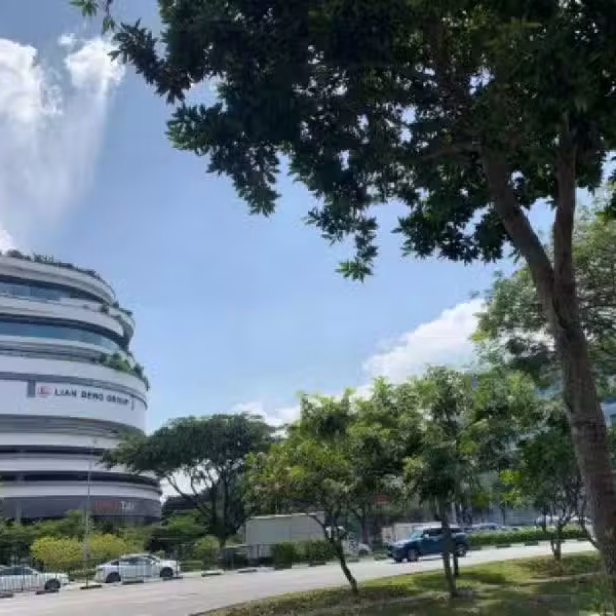 你牵线我拿手机 图片 1