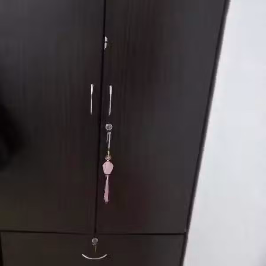 衣柜 图片 1
