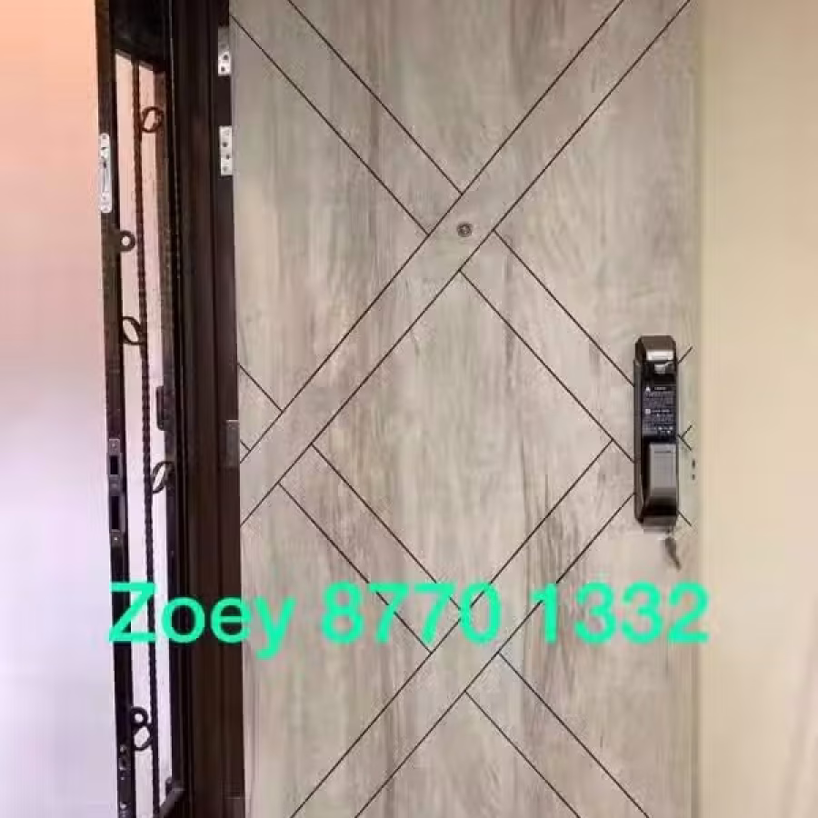 大门木门 图片 3