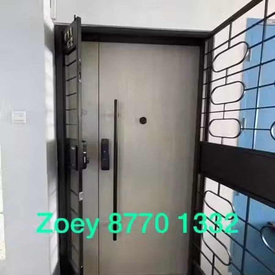 大门木门 图片 4