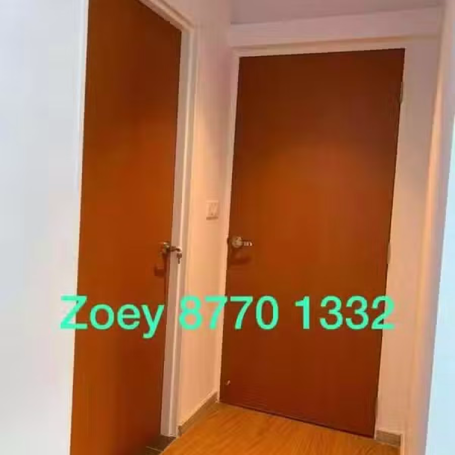 大门木门 图片 8