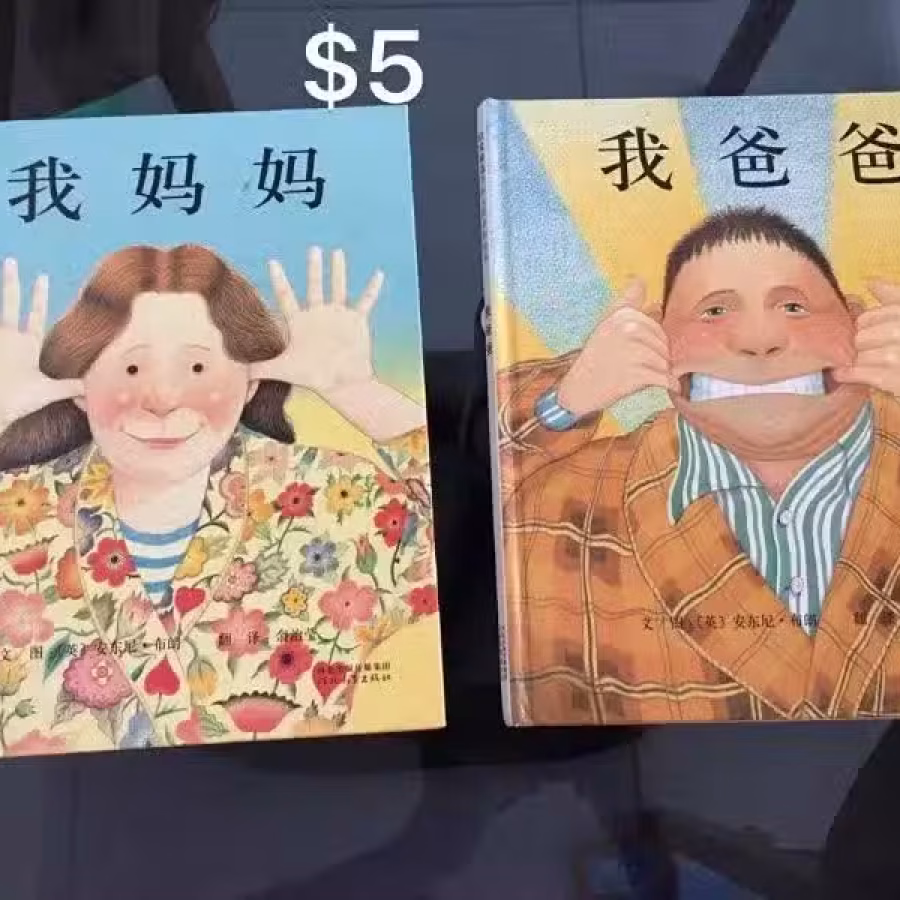 很新的书 学前识字 华文教育 图片 6