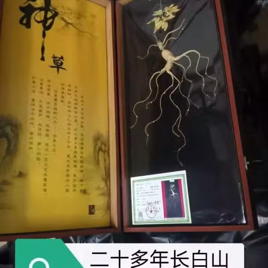 铜狮子一对，鱼竿。鱼线，人参 图片 4