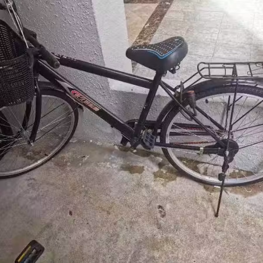 二手自行车 图片 1